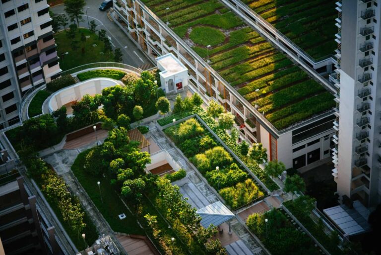 green roofs advantages